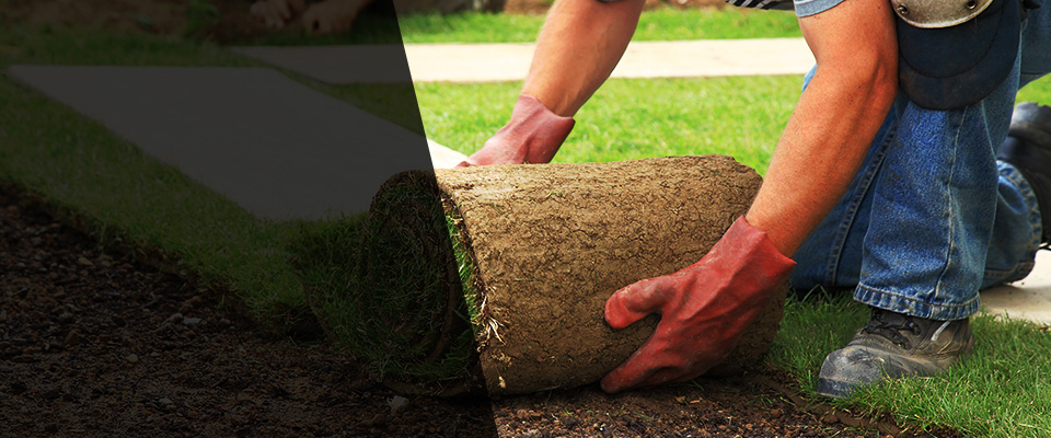 Windsor Locks Landscapers
